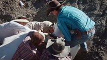 Dino Hunters - Se2 - Ep05 HD Watch