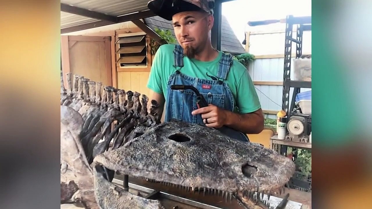 Dino Hunters - Se2 - Ep03 HD Watch