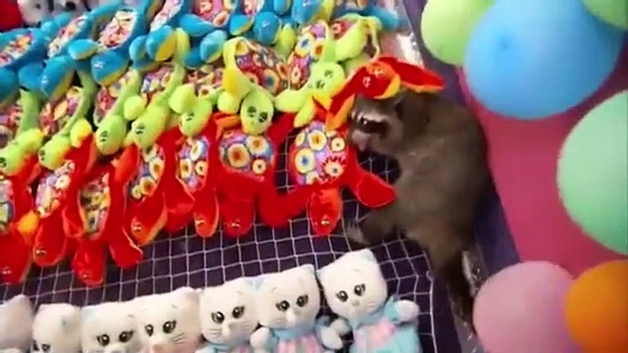 Call of the Wildman - Se2 - Ep16 HD Watch