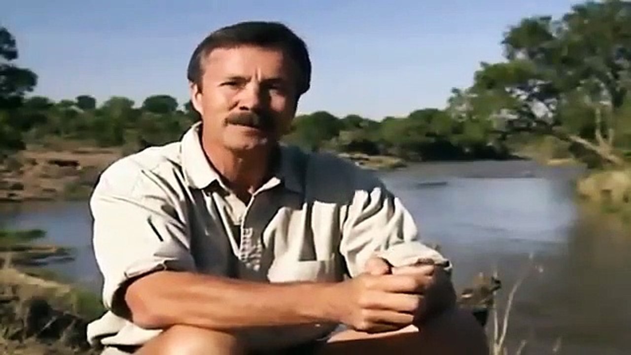 Big Cat Diary - Se3 - Ep01 HD Watch