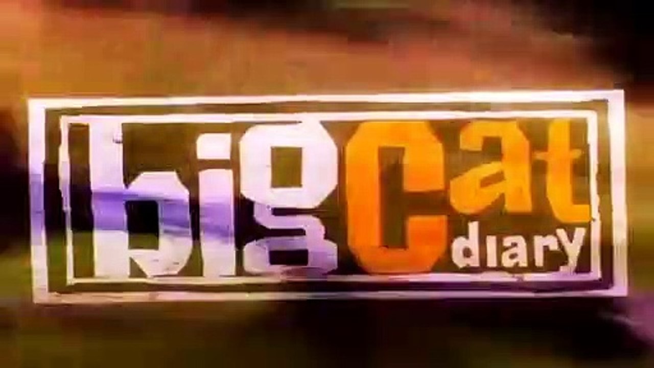 Big Cat Diary - Se3 - Ep05 HD Watch