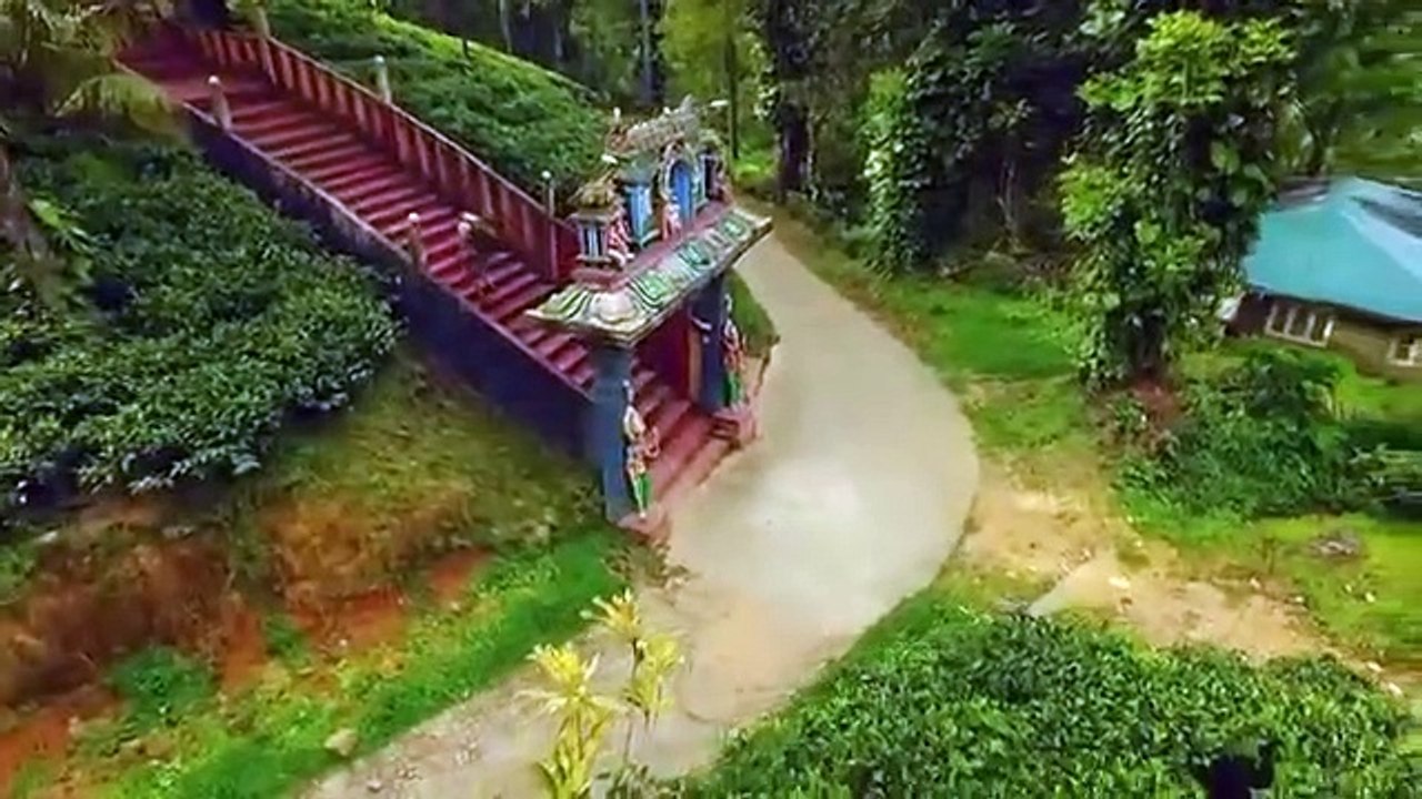 Evan Goes Wild - Se1 - Ep05 - Slender Loris Chorus HD Watch