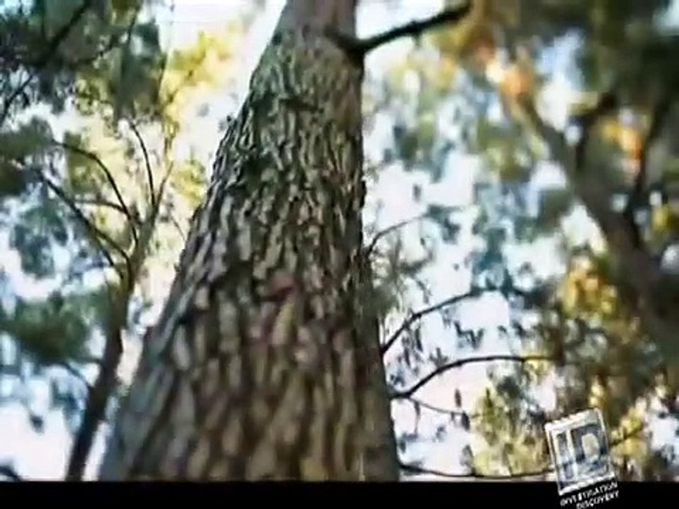 Blood Relatives - Se4 - Ep02 HD Watch