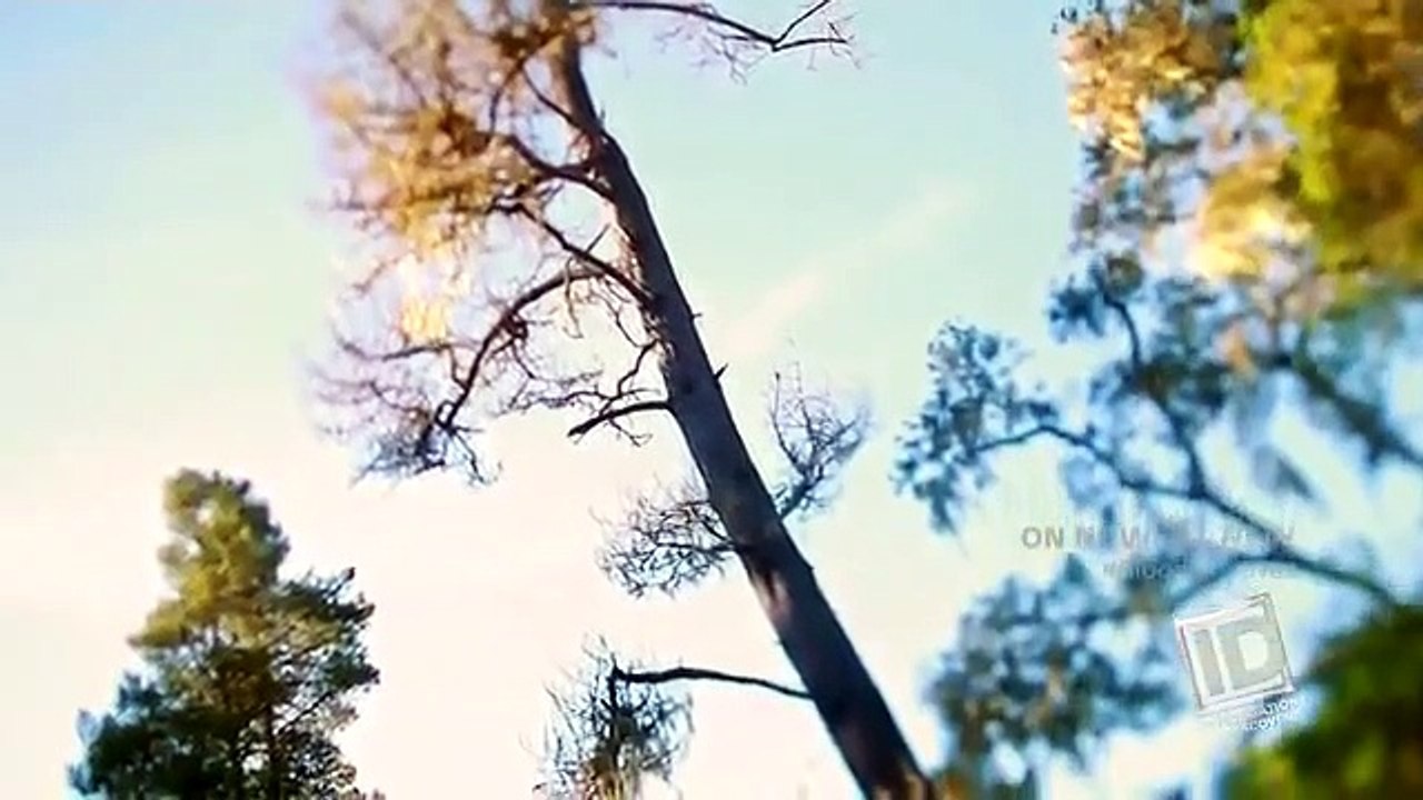 Blood Relatives - Se3 - Ep10 HD Watch