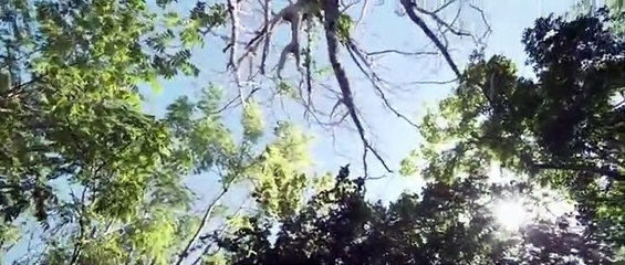 Demons Inside Me (2019) Watch HD