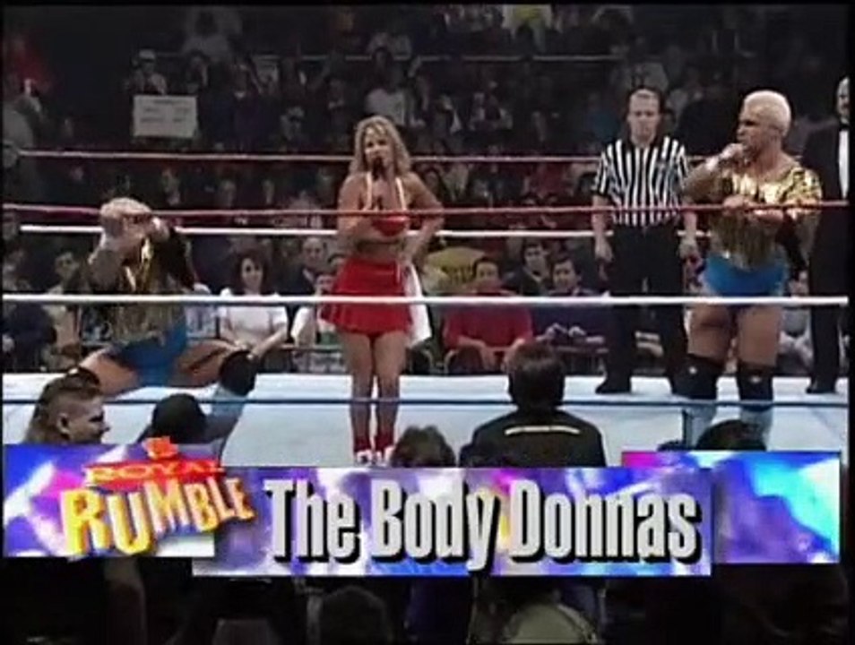 The Smoking Gunns (c) Vs. The Bodydonnas (w/Sunny) (WWF Tag Team Championship)