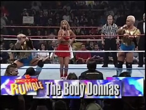 The Smoking Gunns (c) Vs. The Bodydonnas (w/Sunny) (WWF Tag Team Championship)