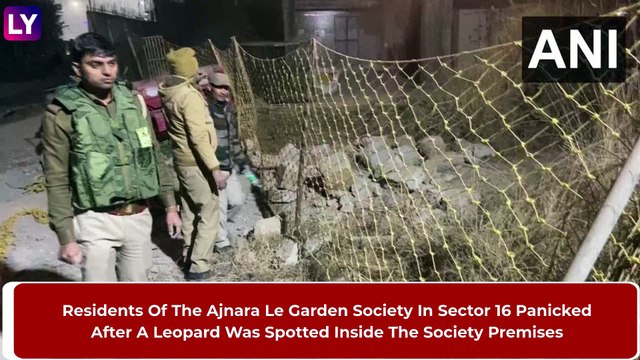 Leopard Spotted At Ajnara Le Garden Residential Society In Greater Noida, Rescue Operation Underway
