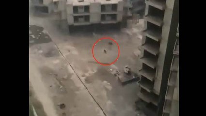 अजनारा ली गार्डन सोसायटी में 'तेंदुआ' दिखने से मची दहशत, अधिकारियों ने कहा, 'फिशिंग कैट' है