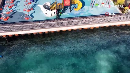 İstanbul Boğazı'nda korkutan görüntü! Resmen istila ettiler