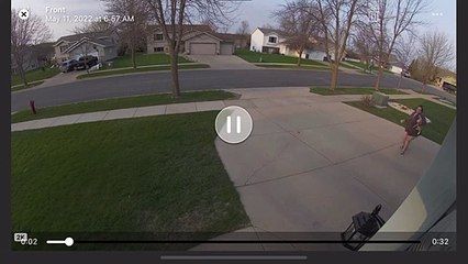 Cheddar le chat ne veut pas retourner à la maison