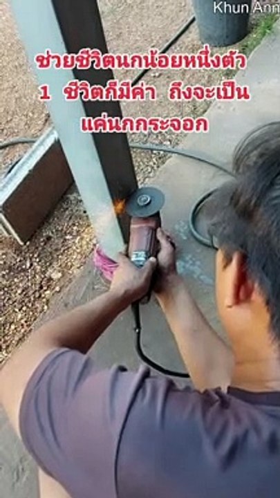 Couper un trou dans la poutre de support en métal pour sauver le petit oiseau