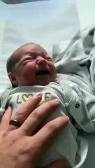 Lucy, une chienne bien dressée, aide son père avec des jumeaux nouveau-nés