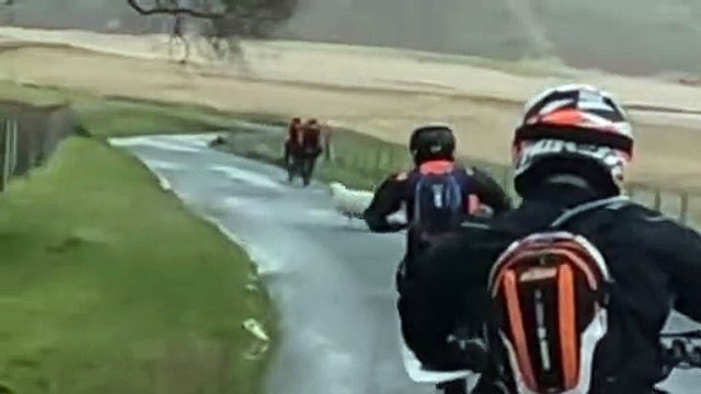 Pourquoi les moutons ont traversé la route