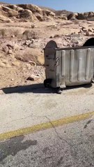 Un chiot perdu reçoit de l'aide de voyageurs