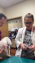 Un vétérinaire reçoit une surprise spéciale pour son anniversaire