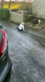 Une femme se coince en glissant et en glissant sur la glace