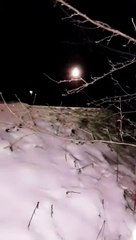 Une femme tombe dans la neige en rentrant de la fête de Noël