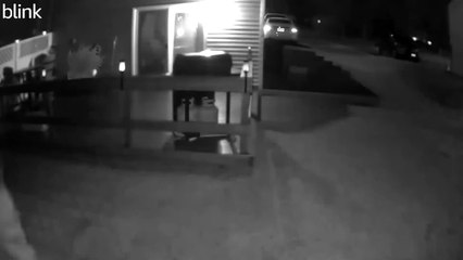 Une femme trébuche à la recherche d'un chien dans le noir