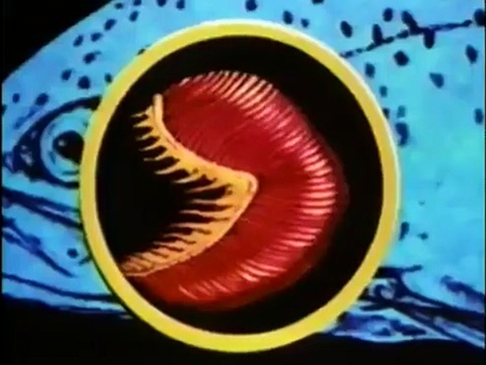 Bill Nye, the Science Guy - Se3 - Ep15 HD Watch