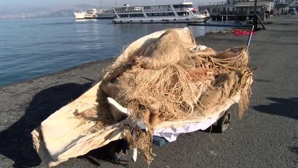 İSTANBUL-KENEVİRDEN YAPILAN SANAT ESERLERİ, BÜYÜKADA'DAN ORTAKÖY'E TEKNEYLE TAŞINDI