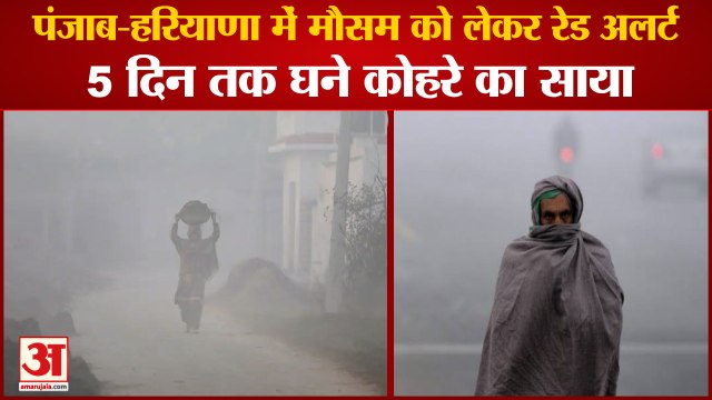 Haryana-Punjab Weather News:पंजाब-हरियाणा में मौसम को लेकर Red Alert,धुंध और शीतलहर की चेतावनी