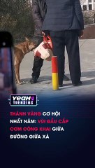 THÁNH VÀNG CƠ HỘI NHẤT NĂM VÙI ĐẦU CẮP CƠM CÔNG KHAI GIỮA ĐƯỜNG GIỮA XÁ