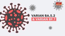 [INFOGRAFIK] Varian BA.5.2 & Varian BF.7