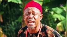 Nigeria Political System Is A Diseased Mesh - Actor Nkem Owoh