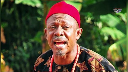 Nigeria Political System Is A Diseased Mesh - Actor Nkem Owoh