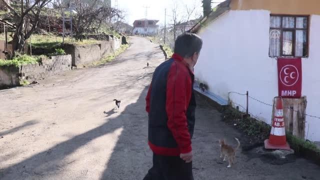 Çocuğu gibi gördüğü 50'den fazla kedi için köyünden ayrılmıyor