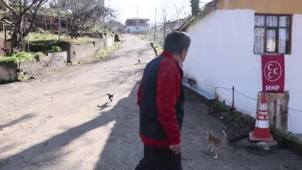 Çocuğu gibi gördüğü 50'den fazla kedi için köyünden ayrılmıyor