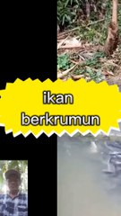 Dapet ikan banyak