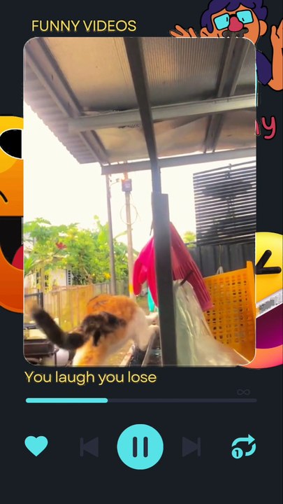 funny video #2