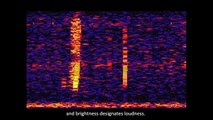 Il Bloop: un suono misterioso dalle profondità dell'oceano - Credit NOAA SOSUS