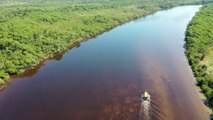 Aerial Footage Amazon River | Longest River In The World | Amazon River Stock Video | No Copyright