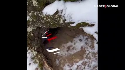 Ayı kendisini görüntülemek isteyen adamı böyle kovaladı