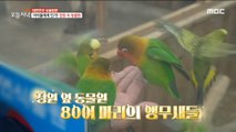 [TASTY] a zoo with various animals next to the garden, 생방송 오늘 저녁 230104