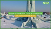 Festival de glace à Harbin en Chine