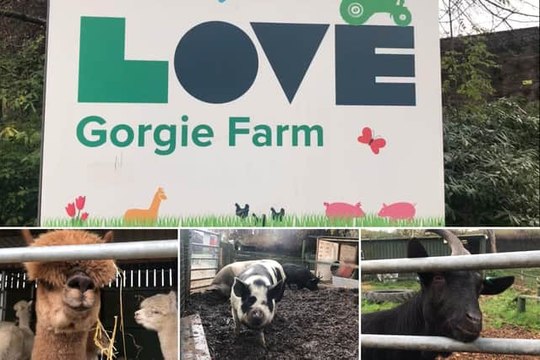 Edinburgh Headlines 6 January: Beloved city farm announces closing date due to 'serious financial challenges'