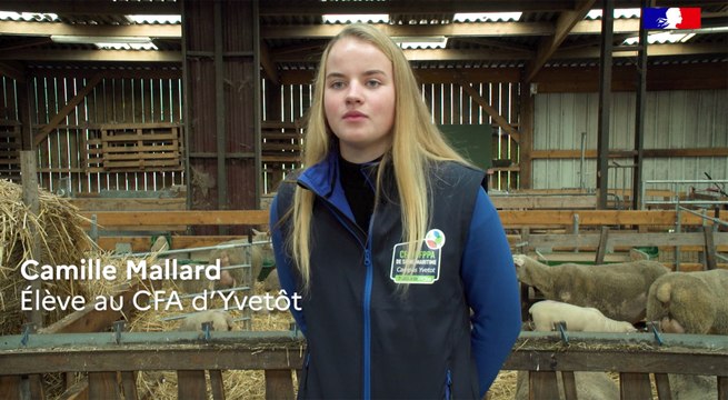 Concertation PACTE : Camille Mallard