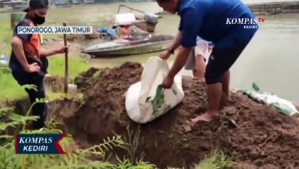 Ribuan Ikan di Telaga Ngebel Mati Mendadak