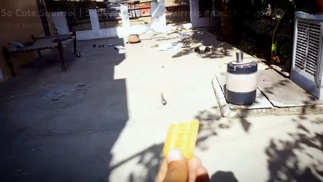 Gilehri eating food