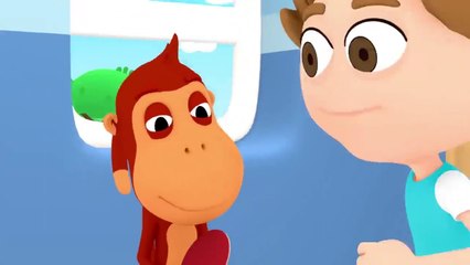 Kukuli Tüm Bölümler 40 DAKİKA