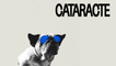 CATARACT / CATARACTE  | MyFrenchFilmFestival