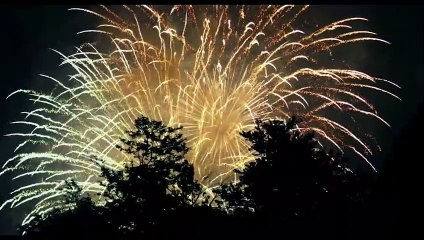 Vengeance Bande-annonce (EN)