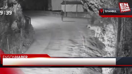 Adana'da alkollü sürücü dehşet saçtı