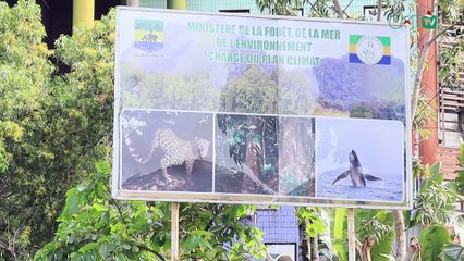 [#Reportage] #Gabon: paralysie totale au ministère de Lee White