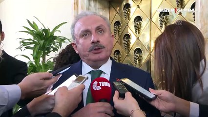 Lozan Antlaşması'nda gizli madde iddialarına ilişkin Şentop'tan açıklama