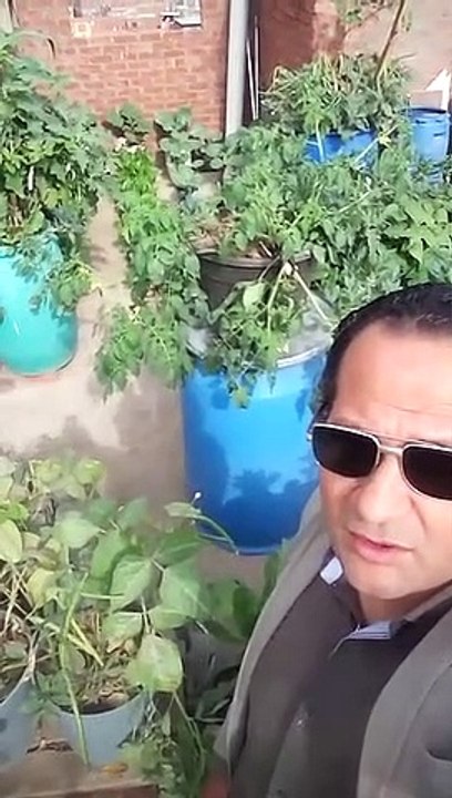 ازرع استمتع  بسطح بيتك